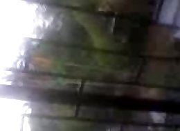 Video-0011